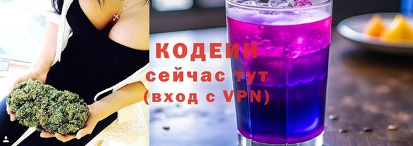 прущие грибы Гусев