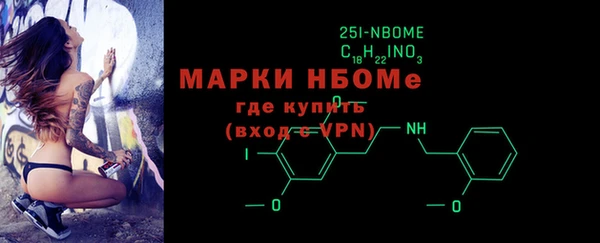 прущие грибы Гусев