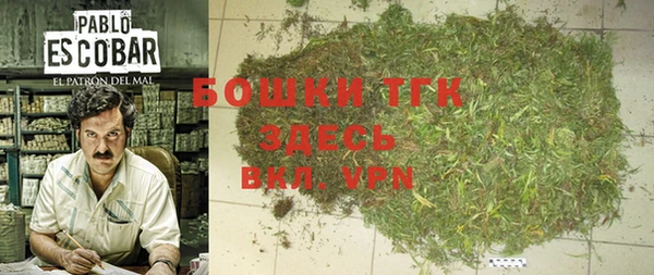 прущие грибы Гусев