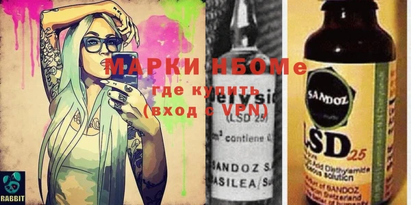 прущие грибы Гусев