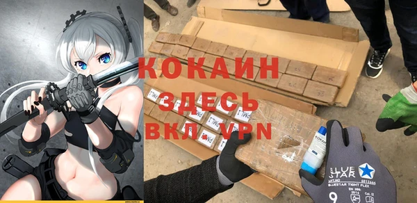 прущие грибы Гусев