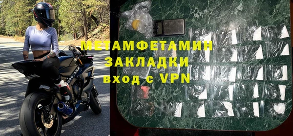 прущие грибы Гусев