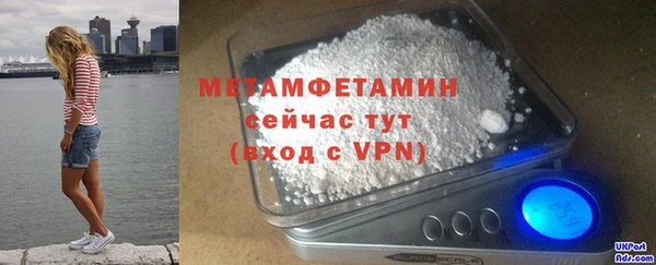прущие грибы Гусев